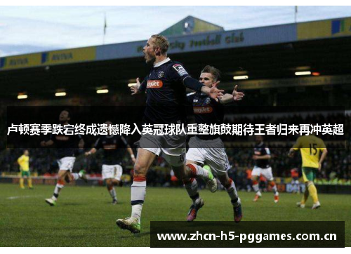 卢顿赛季跌宕终成遗憾降入英冠球队重整旗鼓期待王者归来再冲英超
